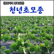 1d470373-d8dd-4f65-972a-8774adad84dc.jpg