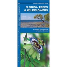 Tampa Bay Birds: An Introduction to Familiar Species Hardcover, Waterford  Press