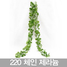 8e2a95a1-ff96-470d-ade9-7deb7b1552f8.jpg