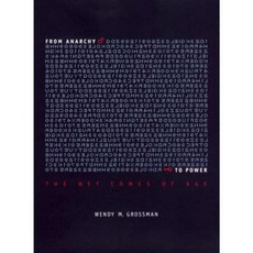From Anarchy to Power: The Net Comes of Age Hardcover, New York University Press
