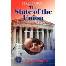 Firestorm: The State of the Union: Book One of the Firestorm Trilogy Paperback, Authorhouse