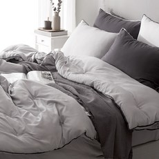 캐논ae-1소프트버튼