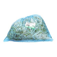 중국산콩나물