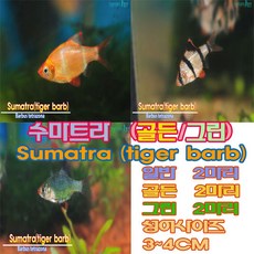 f901e229-c985-4e0f-9f68-d0abc23f9e13.jpg