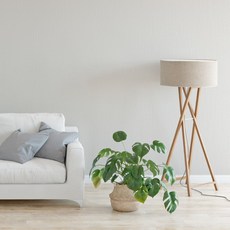 친환경실크벽지