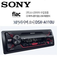 공식수입원 정품AS SONY 소니 DSX-A110U 메카리스 USB 라디오 FLAC파일 재생