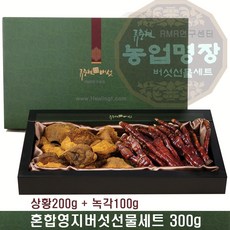 버섯1번지