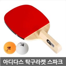 아디다스 탁구라켓 스파크 100 탁구공