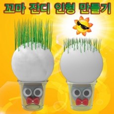 머리가자라는잔디인형