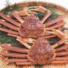 이강크랩 러시아직수입 살아있는 크랩 대게 700~800g 1마리, 1개