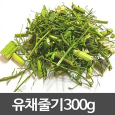 유채꽃차