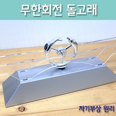 돌고래조련사체험