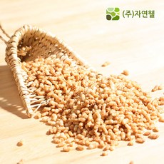 자연웰구운율무