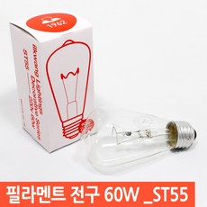 일광전구 백열전구 60W 100W ST55 E26 장식용 전구다마, 60W(1개당), 1개