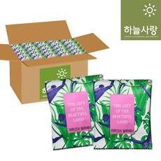 하루건자두20gx60봉