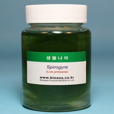 해캄