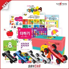 [세티] 세이카(32G)+꾸물이낱말카드(120장)+꾸물이벽그림(10종+미니북), 세이카(레드)