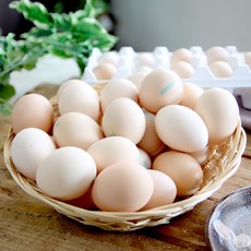 이준석님의 동물복지 HACCP 자연방사 백봉 오골계란 20구 40구, 1박스, 백봉오골계란 20구
