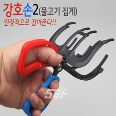5bf포셉