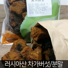 오케이감초 러시아산 차가버섯1kg, 1개, 건조 차가버섯1kg
