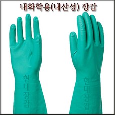애니온샤워내돈내산