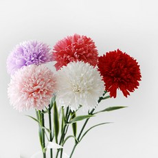 2bb2442b-d9c3-4d55-882a-ed46f53b0149.jpg
