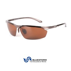 리얼라인블루스톰