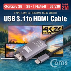 애플hdmi