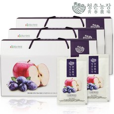 파주사과즙