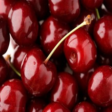  달달과수원 고당도 미국산 체리 특품, 1박스, 5kg 