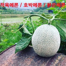 1baa7c16-47eb-4a84-90f7-fed5d1f1315b.jpg