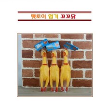 //상품명