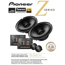 pioneer