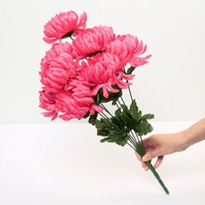 3576bc32-3a7d-47ca-8402-4ee762d2fa13.jpg