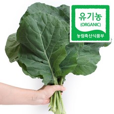 //상품명