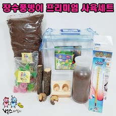 장수풍뎅이 유충 사육세트(특대형), 유충 특대형 세트