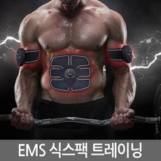 EMS 식스팩 트레이닝 NAO-H4050 저주파 자극 복근관리, 단품