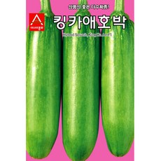 조선애호박