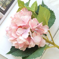 15d756cb-3127-486a-8ffa-61b73c7775a0.jpg