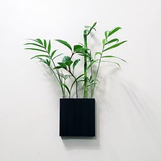 벽걸이수경