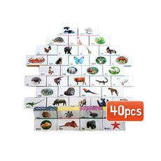 피셔스프라이스러닝홈