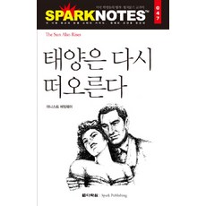 태양은 다시 떠오른다, 다락원, 논술/작문