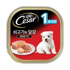 강아지해피에그