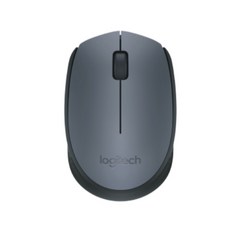로지텍m171