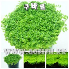 65f3777b-1d5d-42e3-bbac-f7553f2fabe7.jpg