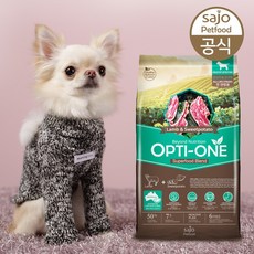//상품명