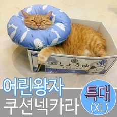 아르르넥카라xl