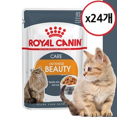 로얄캐닌 젤리파우치 고양이습식사료, 24개, 로얄캐닌 인텐스뷰티 젤리 85g