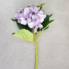 라이다센서