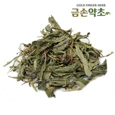 금손언니